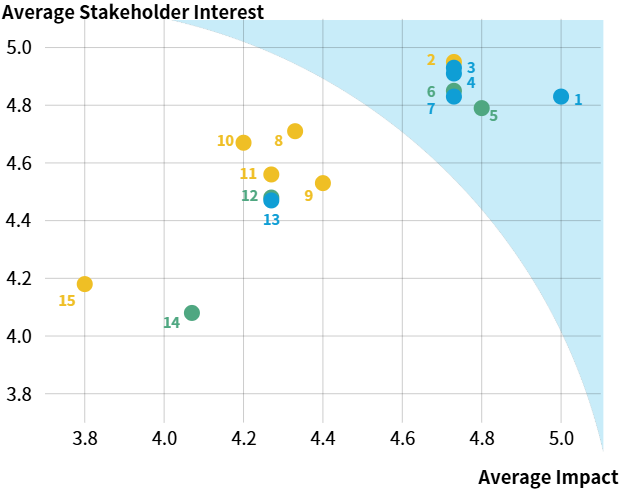 Identification of Significant issues